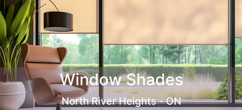  Window Shades North River Heights - ON
