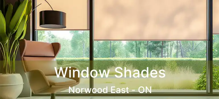  Window Shades Norwood East - ON
