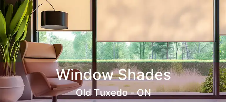  Window Shades Old Tuxedo - ON