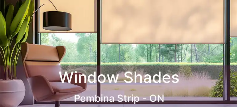  Window Shades Pembina Strip - ON
