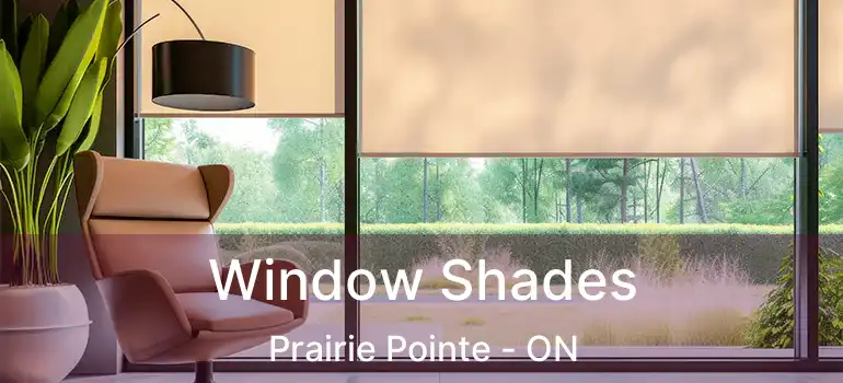  Window Shades Prairie Pointe - ON