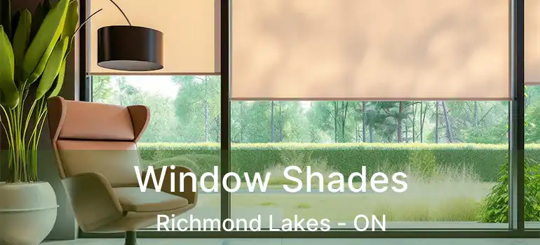  Window Shades Richmond Lakes - ON