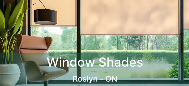  Window Shades Roslyn - ON