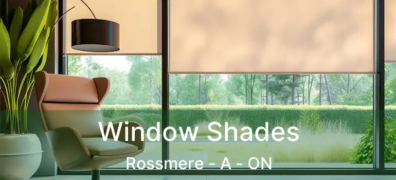  Window Shades Rossmere - A - ON