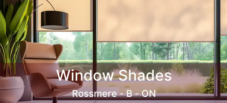  Window Shades Rossmere - B - ON