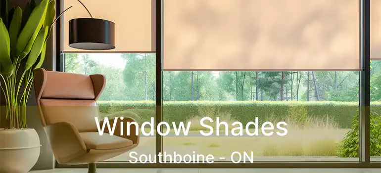  Window Shades Southboine - ON