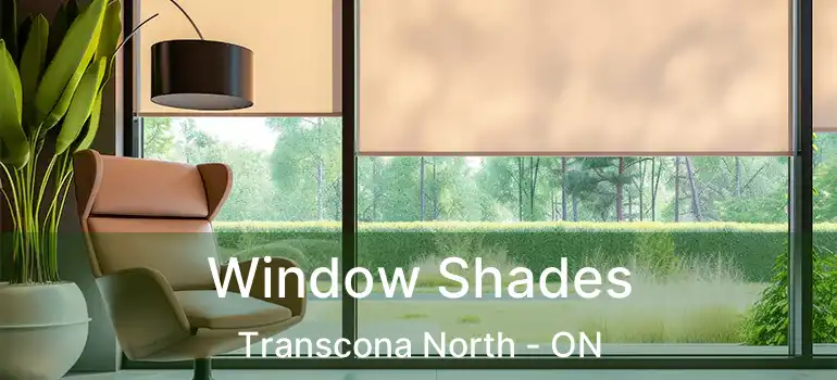 Window Shades Transcona North - ON