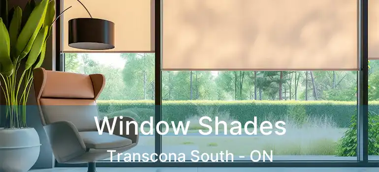  Window Shades Transcona South - ON