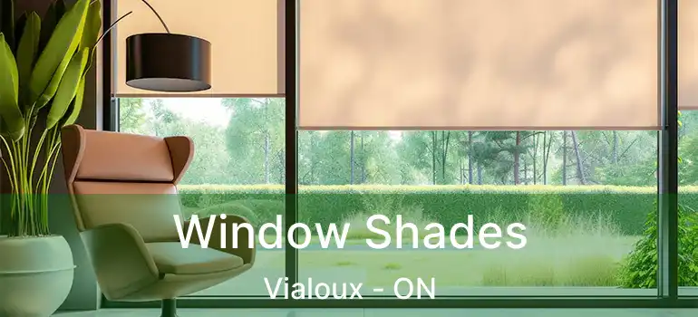  Window Shades Vialoux - ON