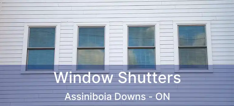  Window Shutters Assiniboia Downs - ON