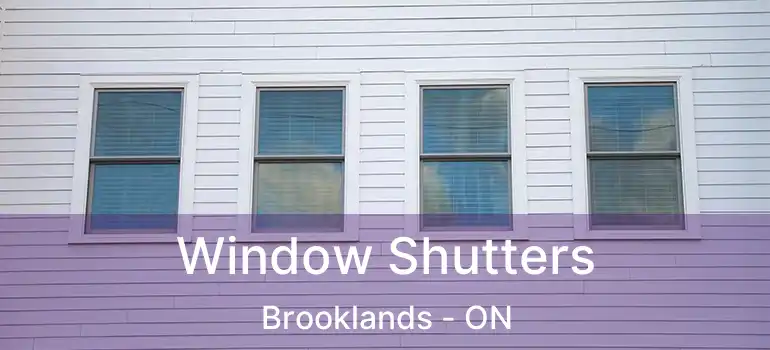  Window Shutters Brooklands - ON