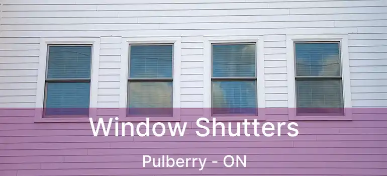  Window Shutters Pulberry - ON