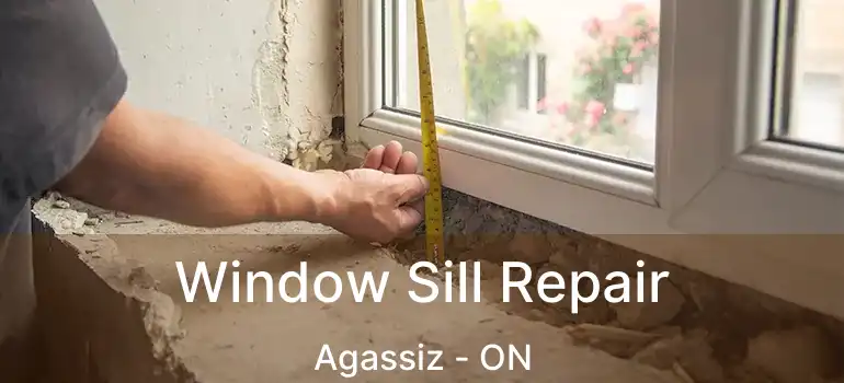 Window Sill Repair Agassiz - ON