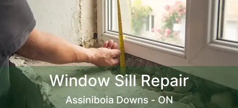  Window Sill Repair Assiniboia Downs - ON