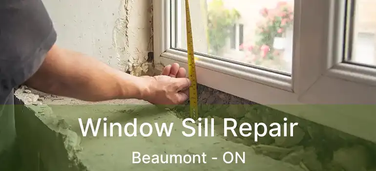  Window Sill Repair Beaumont - ON