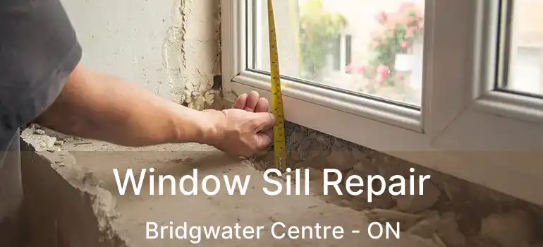  Window Sill Repair Bridgwater Centre - ON