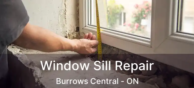 Window Sill Repair Burrows Central - ON