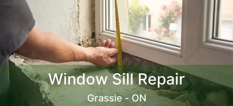  Window Sill Repair Grassie - ON