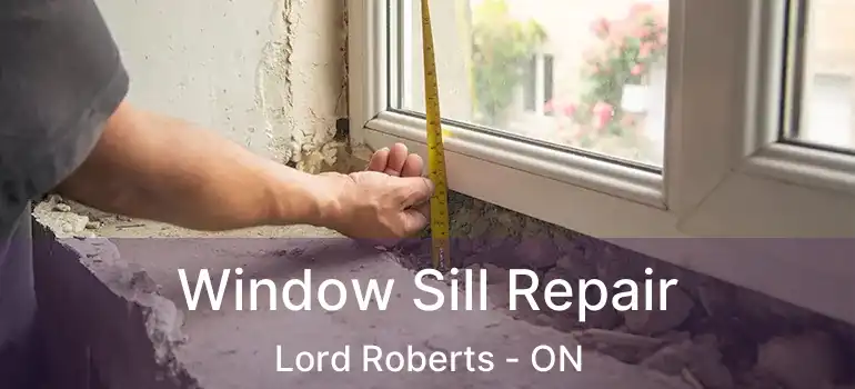  Window Sill Repair Lord Roberts - ON