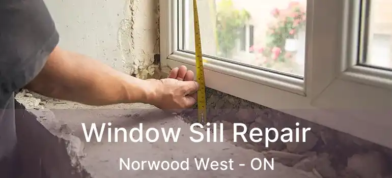  Window Sill Repair Norwood West - ON