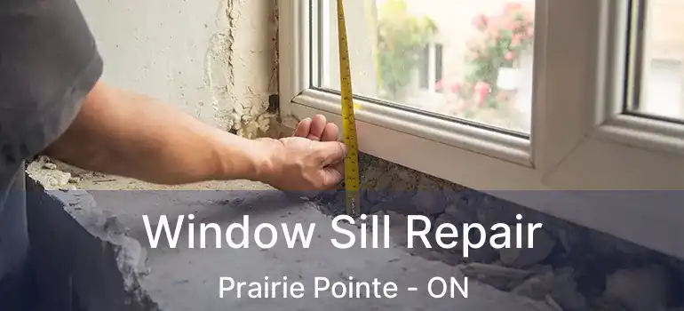  Window Sill Repair Prairie Pointe - ON