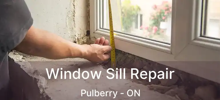  Window Sill Repair Pulberry - ON