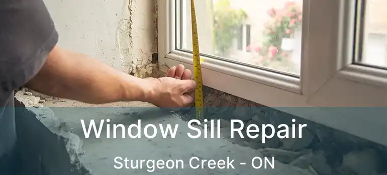  Window Sill Repair Sturgeon Creek - ON
