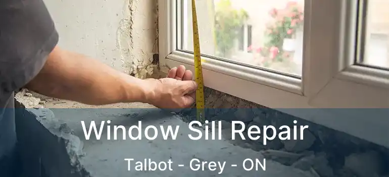  Window Sill Repair Talbot - Grey - ON