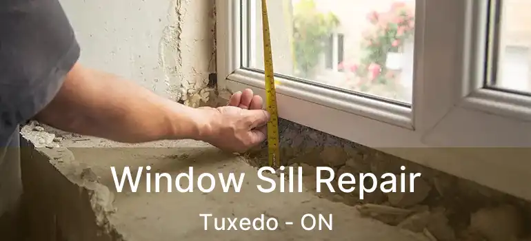  Window Sill Repair Tuxedo - ON