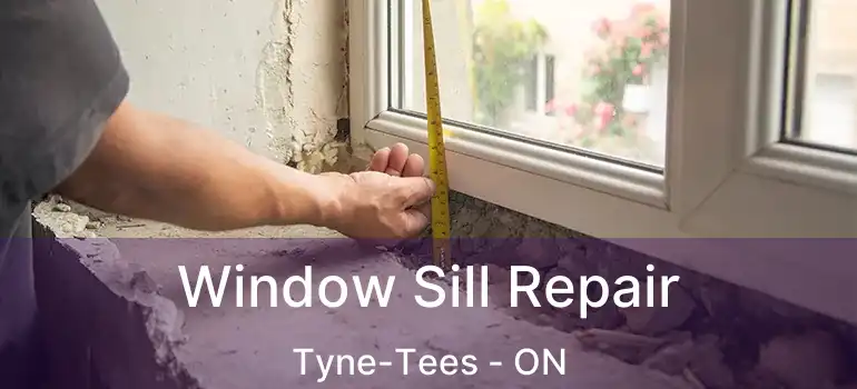  Window Sill Repair Tyne-Tees - ON