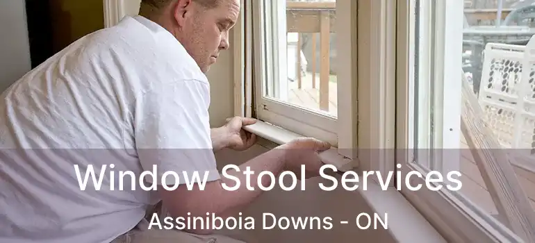  Window Stool Services Assiniboia Downs - ON