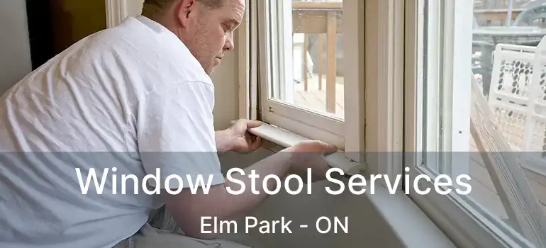  Window Stool Services Elm Park - ON