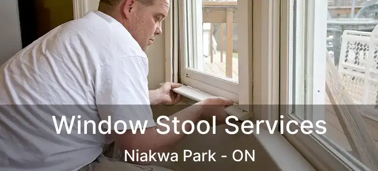  Window Stool Services Niakwa Park - ON