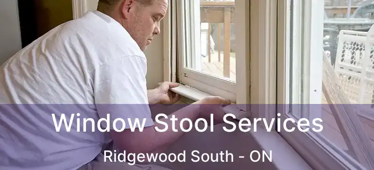  Window Stool Services Ridgewood South - ON