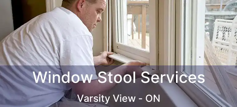  Window Stool Services Varsity View - ON