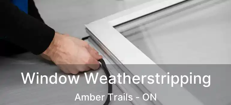  Window Weatherstripping Amber Trails - ON
