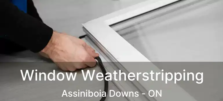  Window Weatherstripping Assiniboia Downs - ON