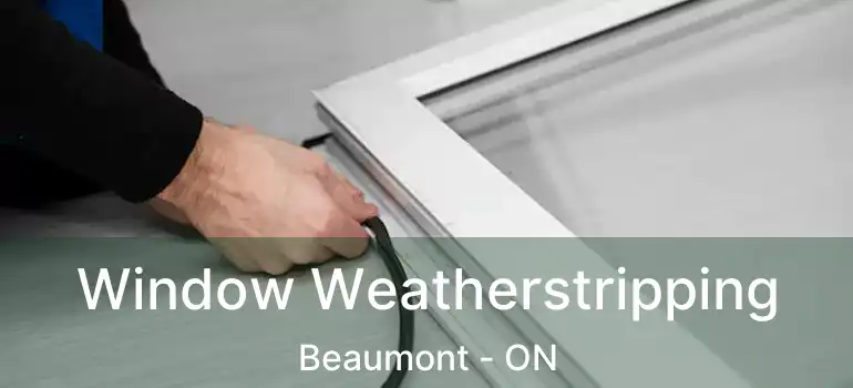  Window Weatherstripping Beaumont - ON