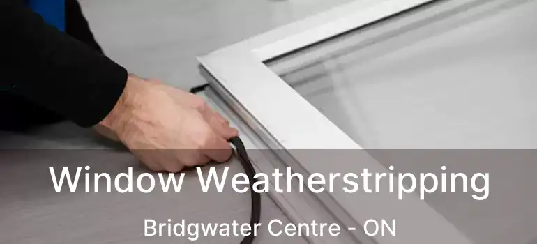  Window Weatherstripping Bridgwater Centre - ON