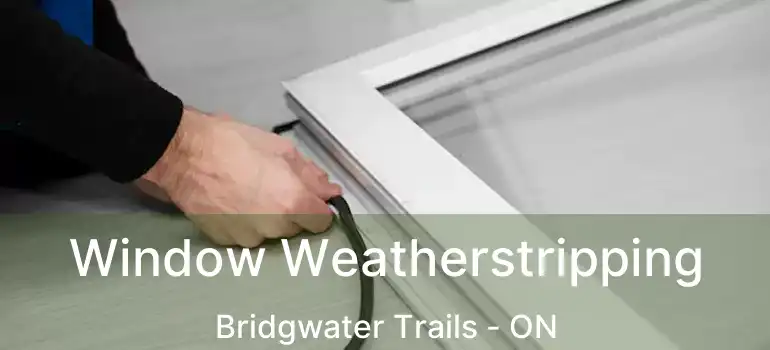  Window Weatherstripping Bridgwater Trails - ON