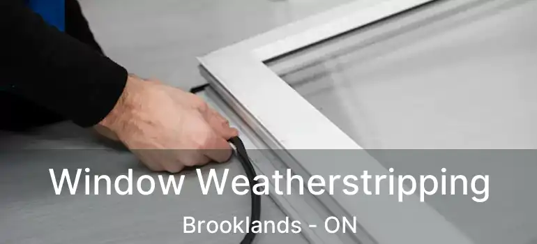  Window Weatherstripping Brooklands - ON