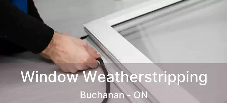  Window Weatherstripping Buchanan - ON