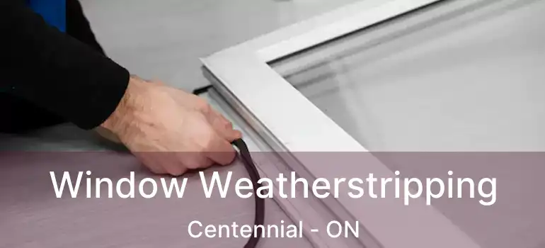  Window Weatherstripping Centennial - ON