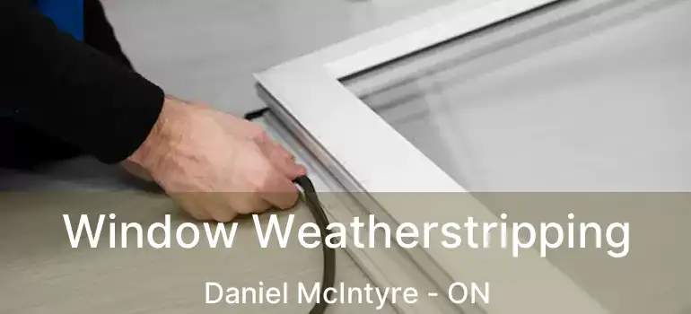  Window Weatherstripping Daniel McIntyre - ON