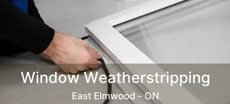  Window Weatherstripping East Elmwood - ON