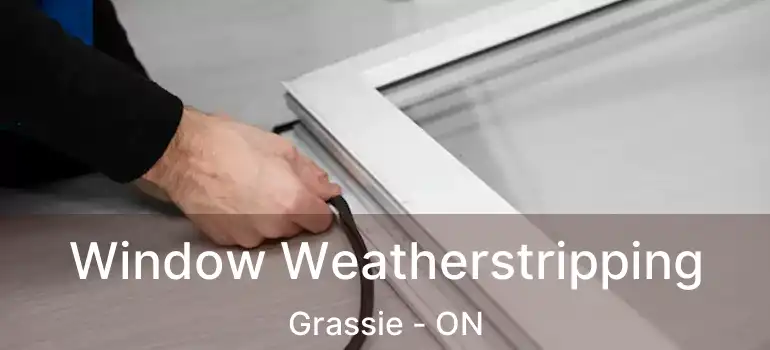  Window Weatherstripping Grassie - ON