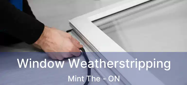  Window Weatherstripping Mint The - ON