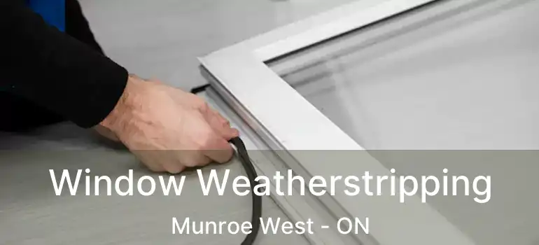  Window Weatherstripping Munroe West - ON