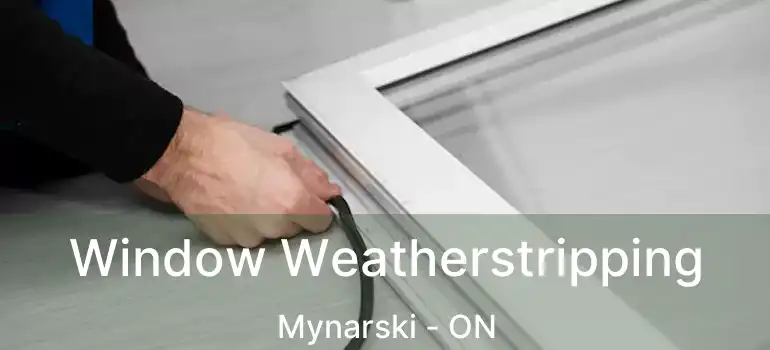  Window Weatherstripping Mynarski - ON