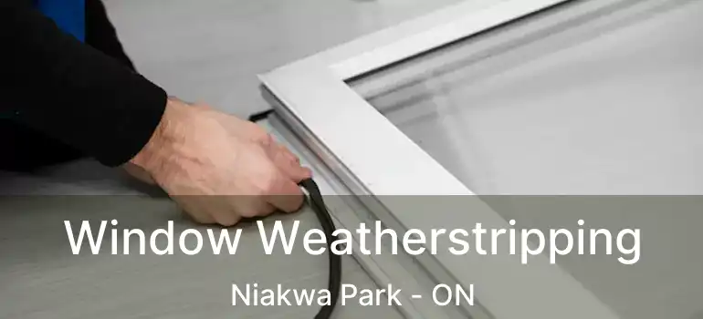  Window Weatherstripping Niakwa Park - ON